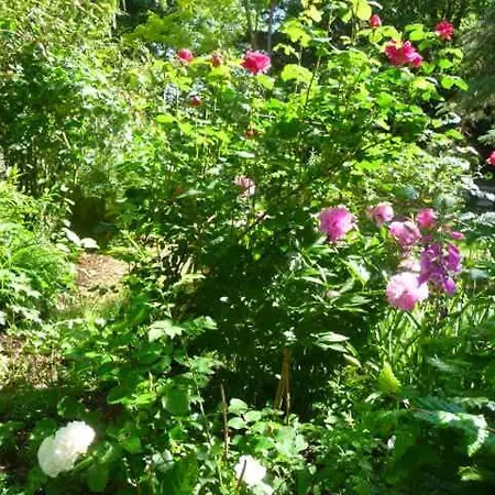 بيت للعطل Exklusive Wellnessoase Shambala *