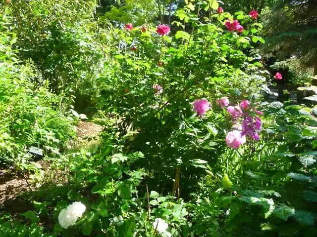 Casa vacanze Exklusive Wellnessoase Shambala *